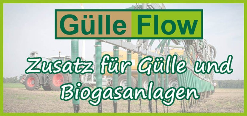 Guelleflow_Startseite_101025